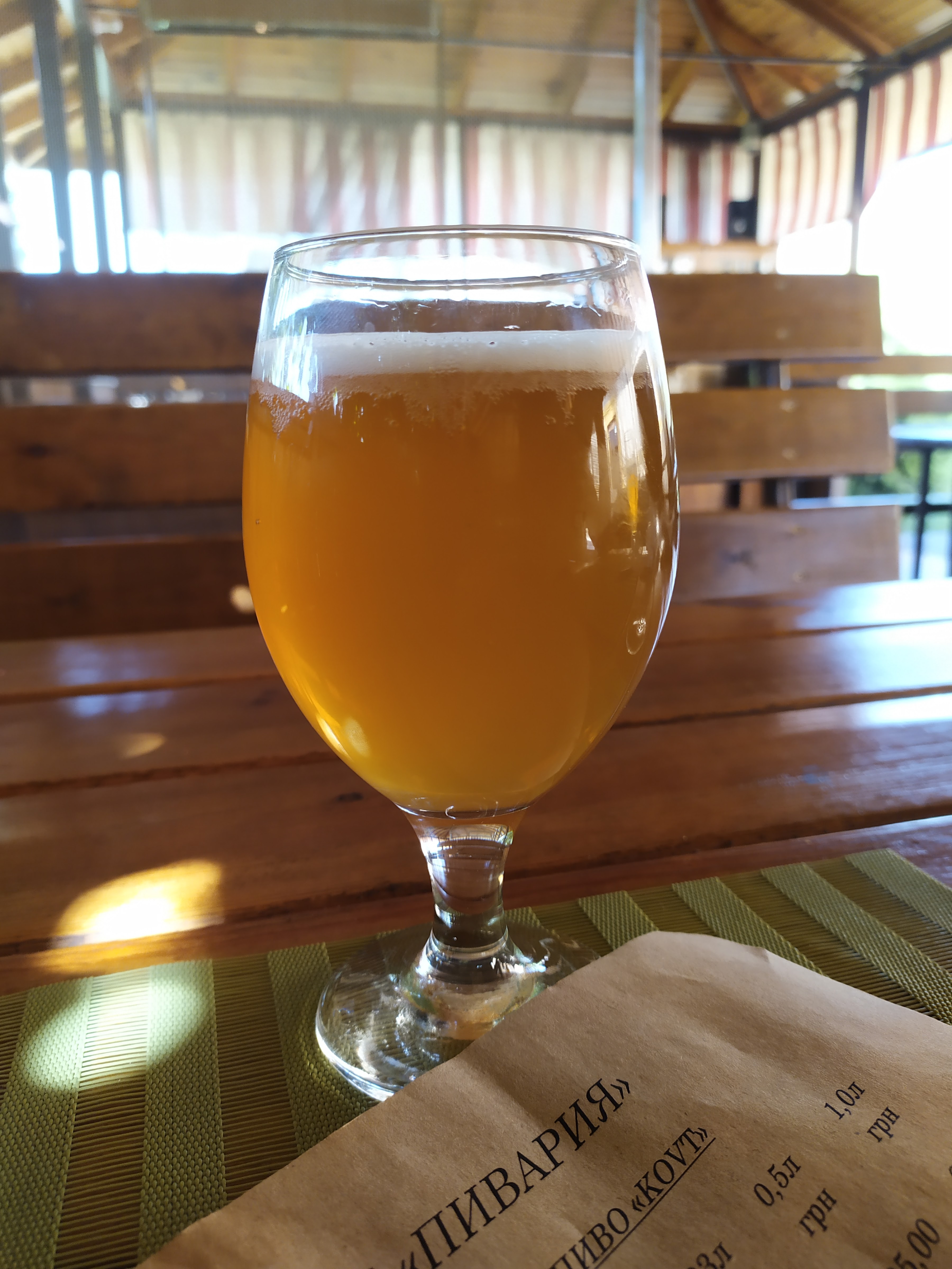 Pyvariya Pab image 5