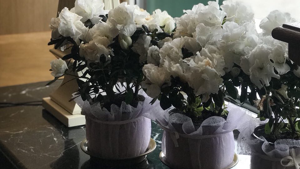 Kafe "Favoryt" image 3