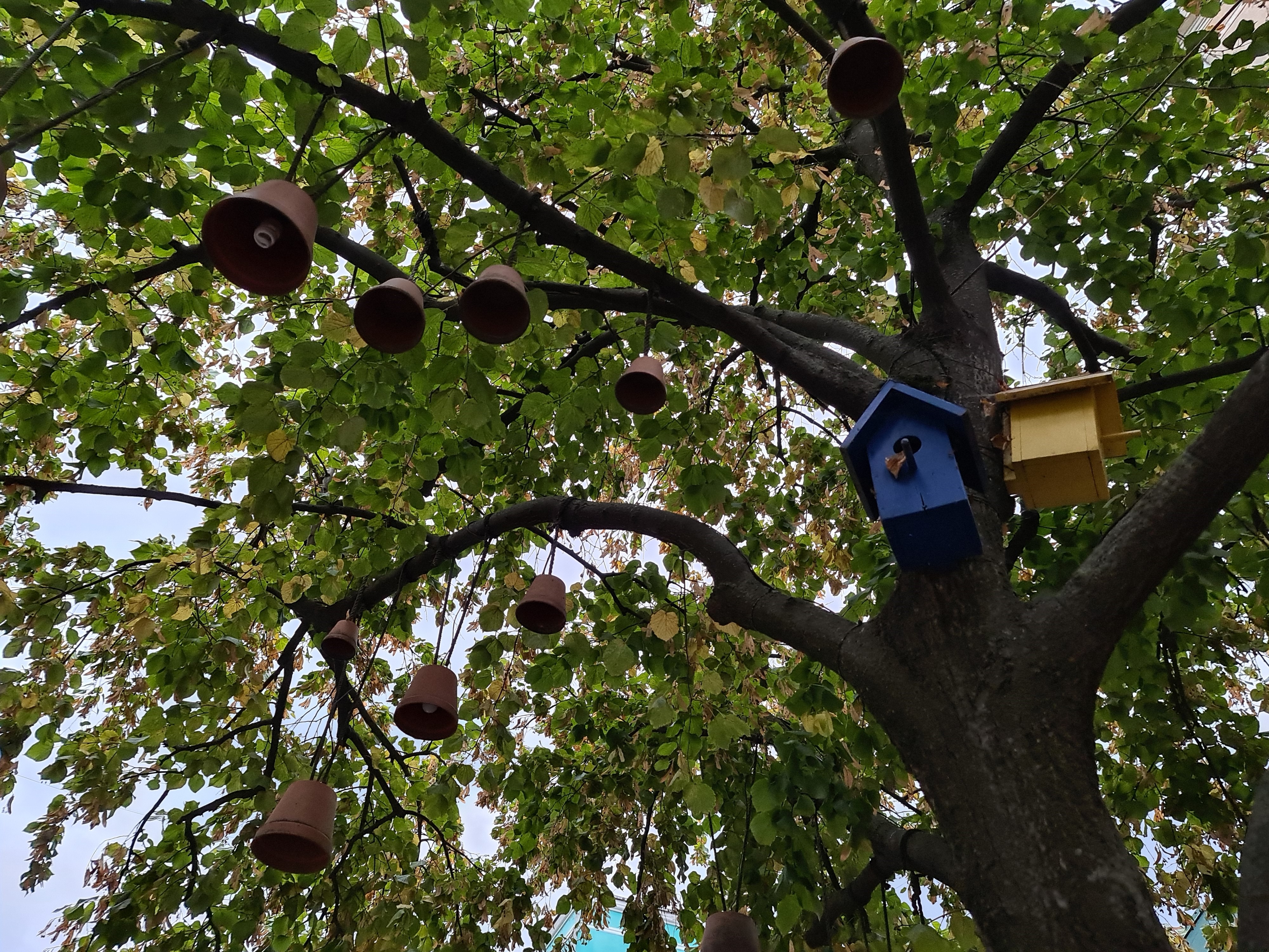 Kafe "Favoryt" image 7