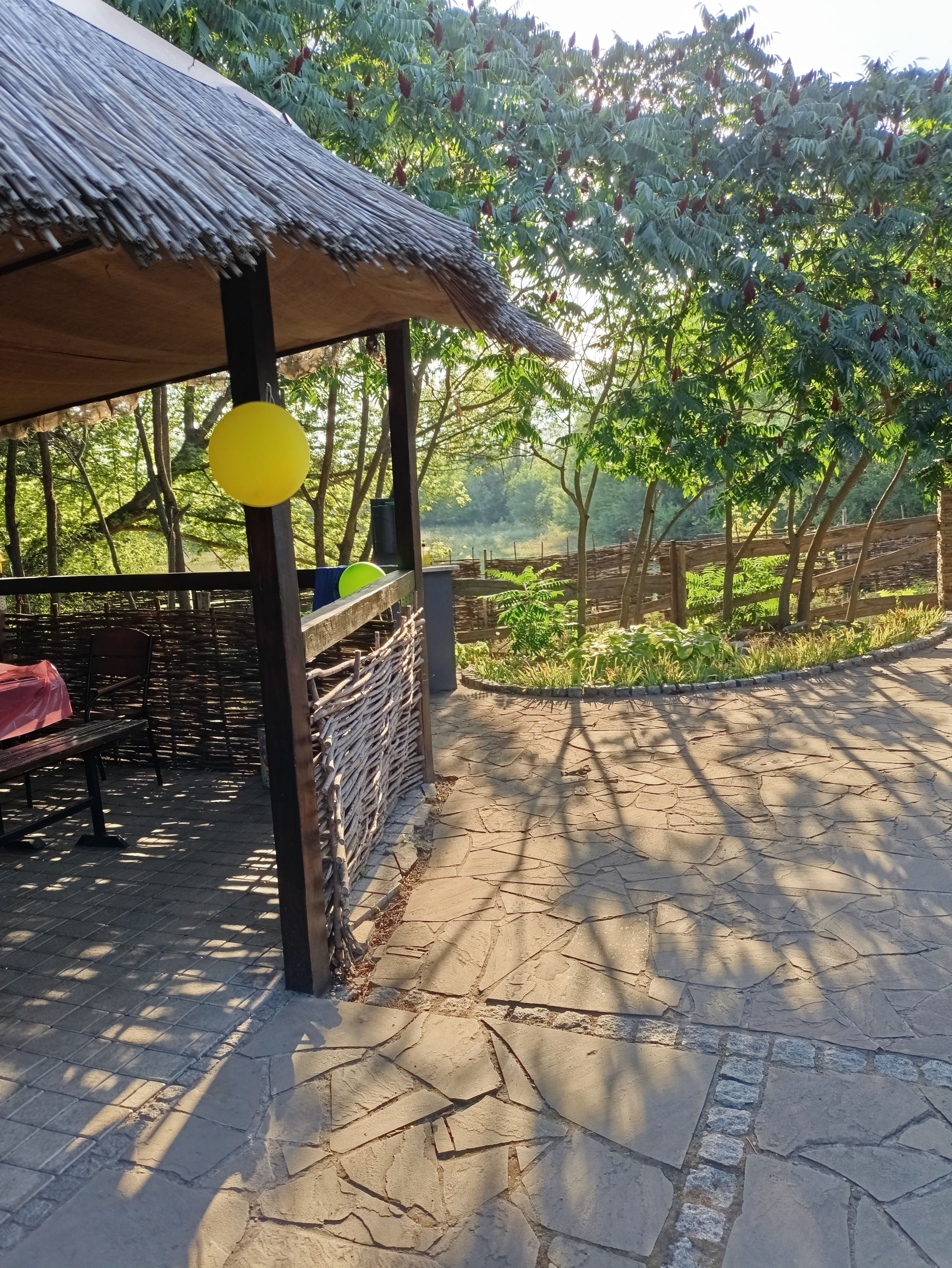 У бобра image 1