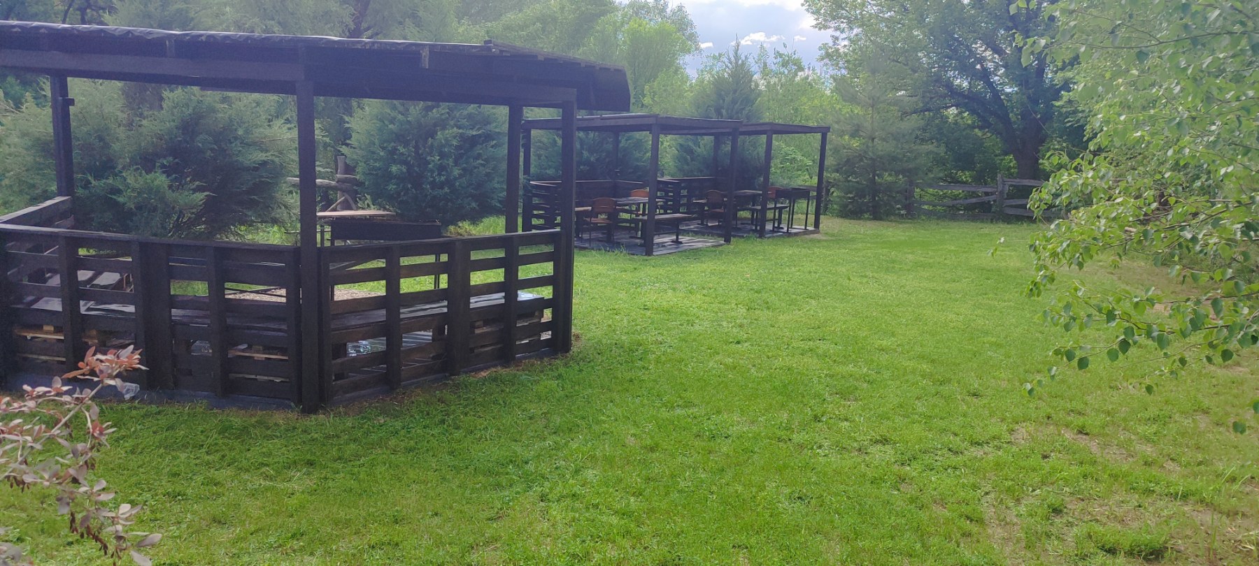 У бобра image 4