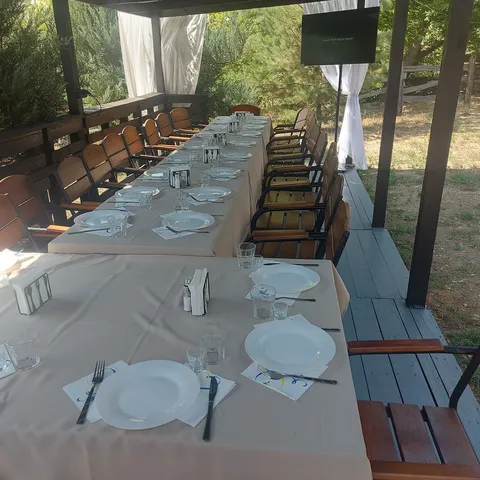 У бобра image 7