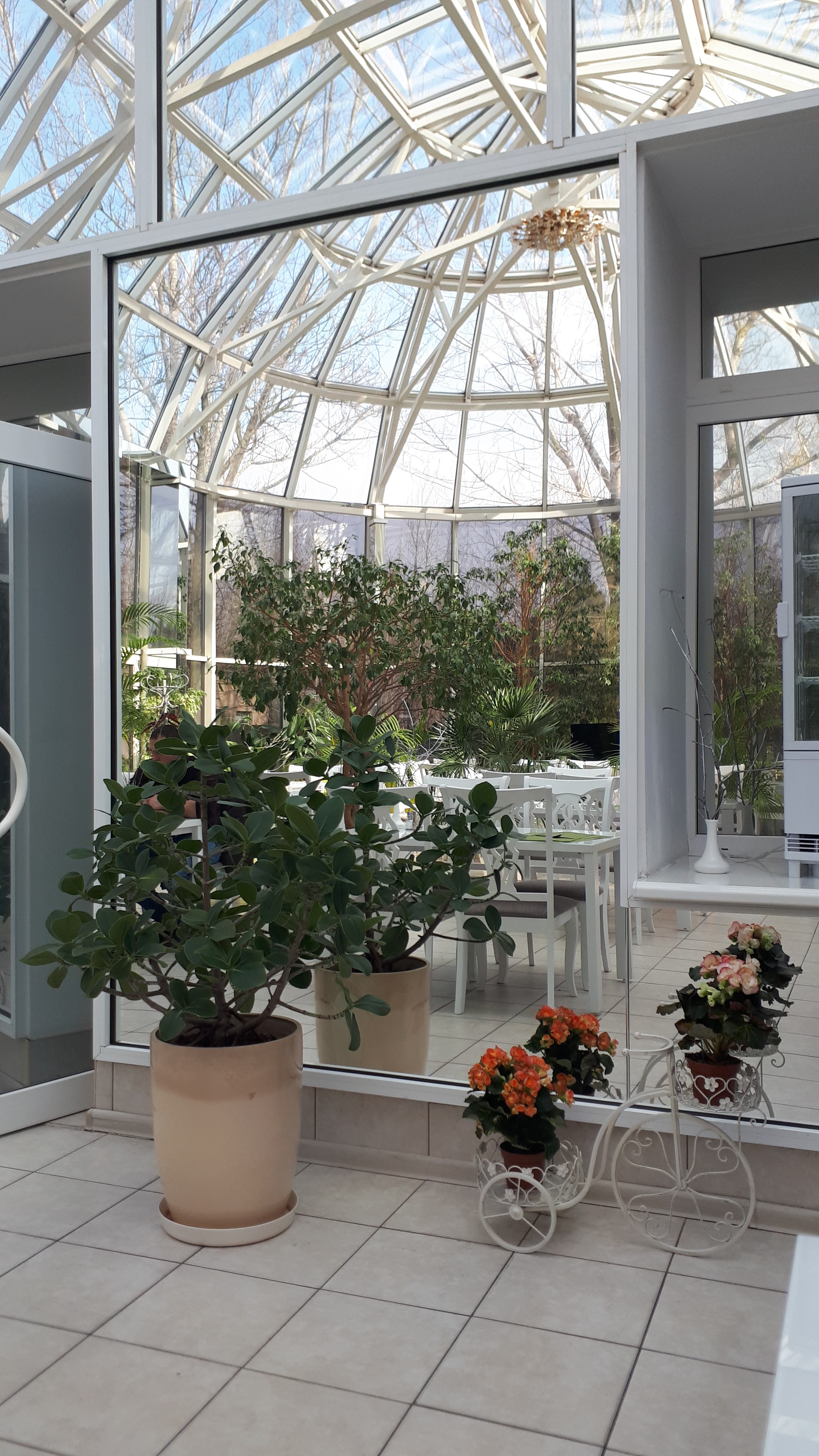 Ренессанс image 10