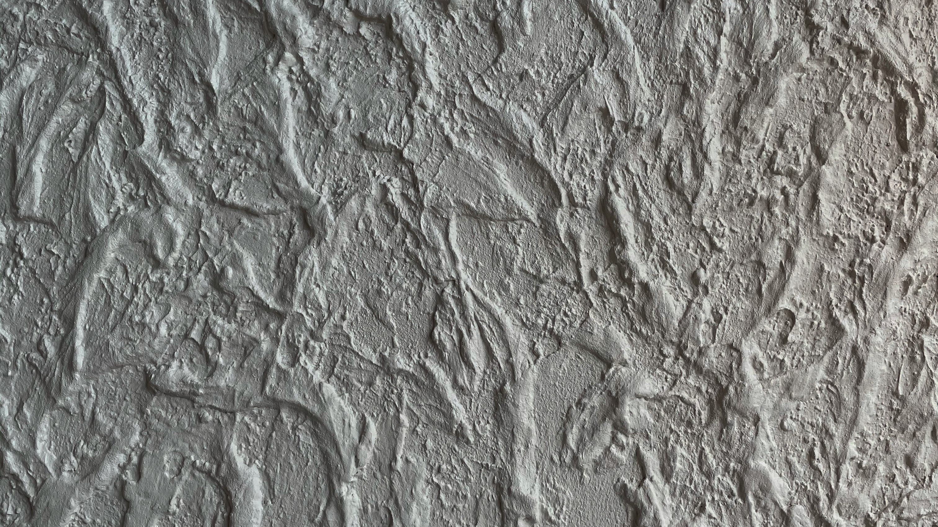 Lososʹ Ta Druzi image 3