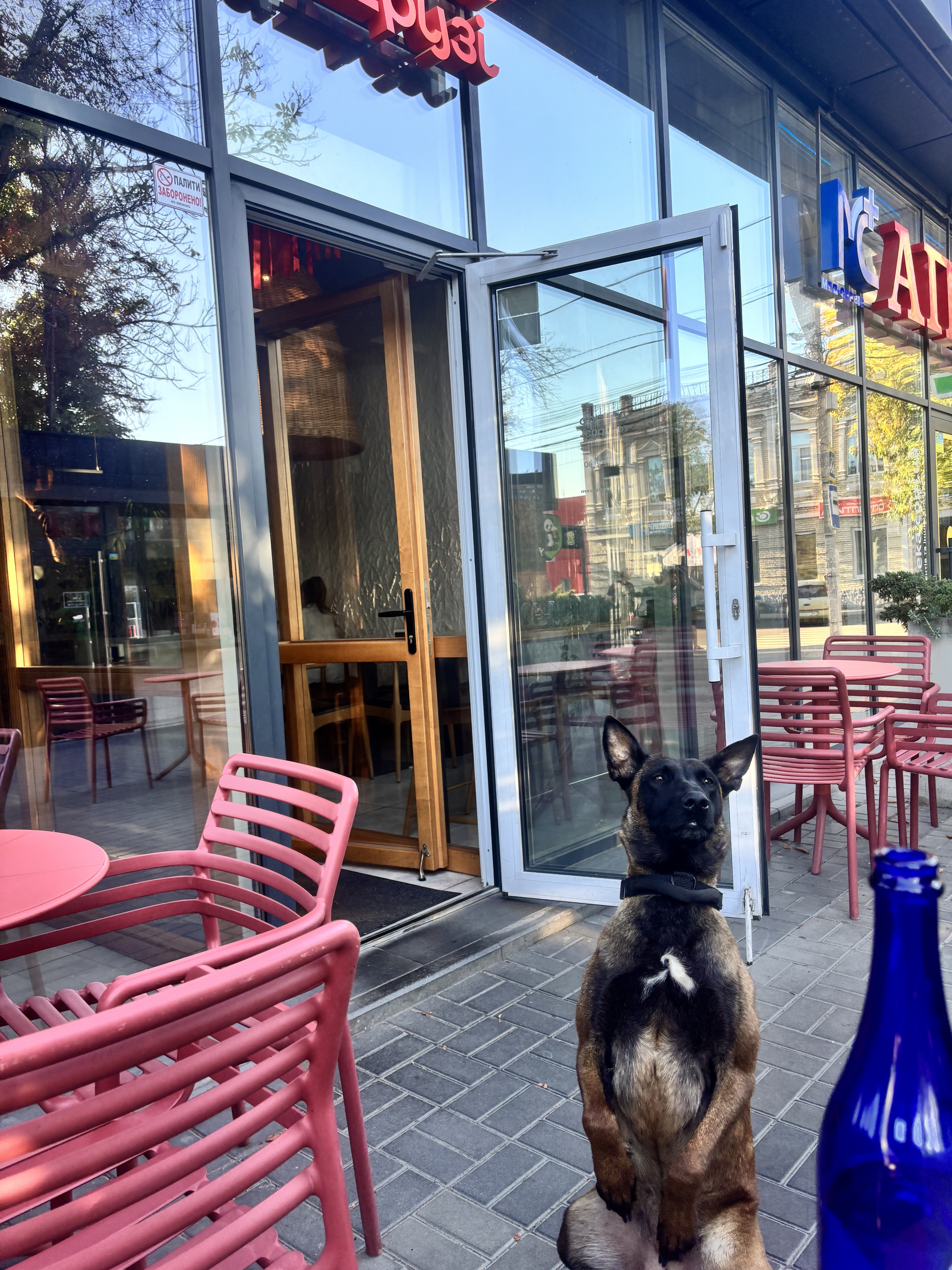 Lososʹ Ta Druzi image 8