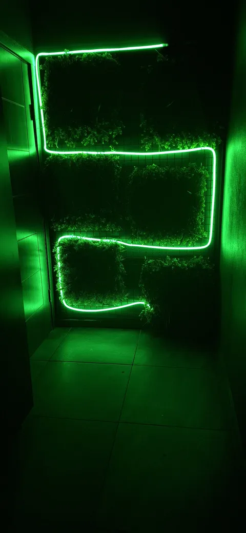 GUSTO image 6