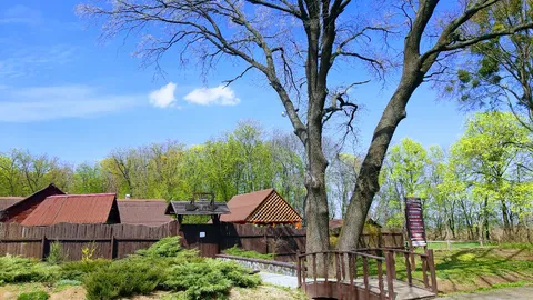 Kafe-Bar, Hotelʹ, Banya "Vikinh" image 3