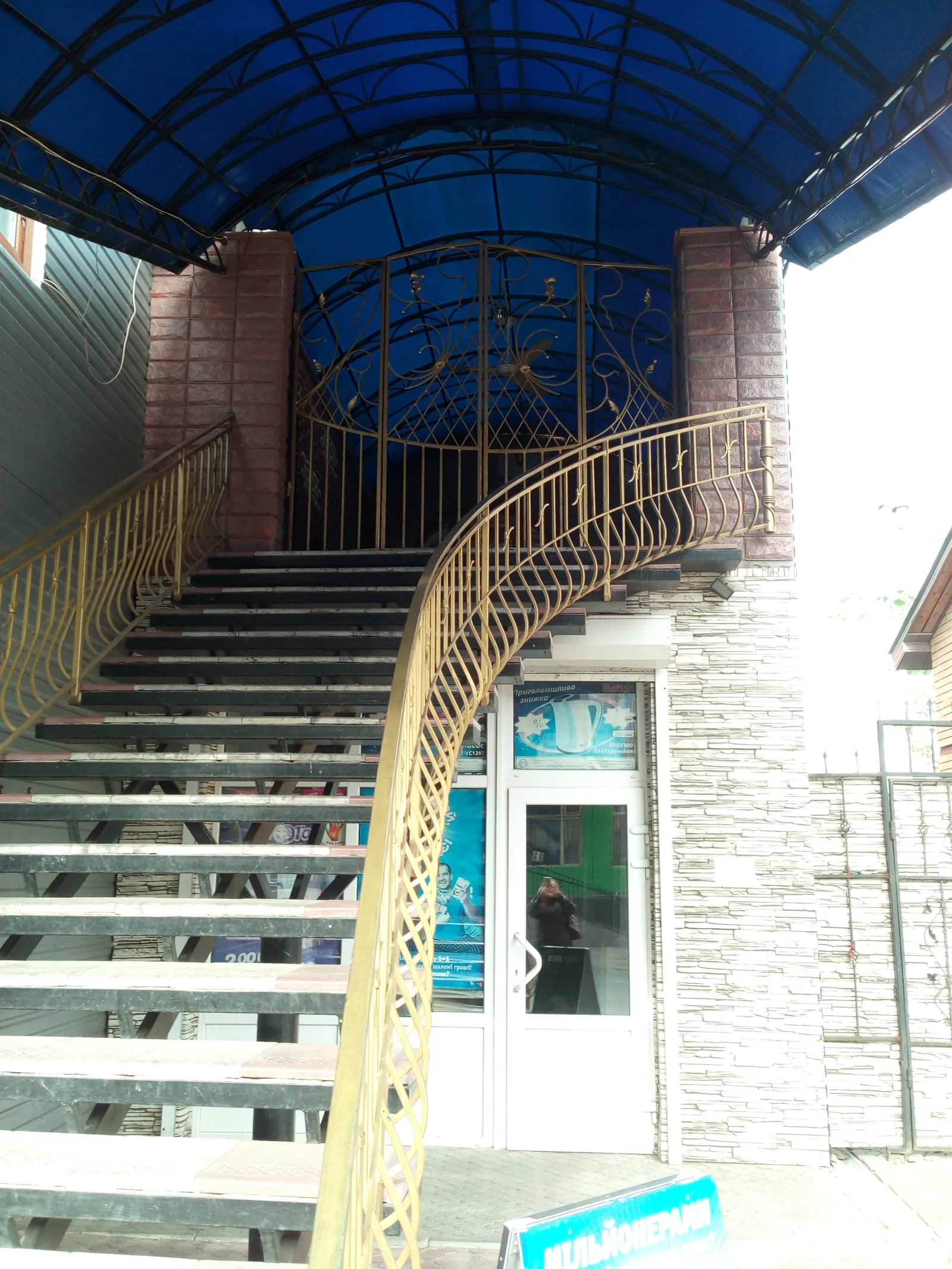 Feniks image 6