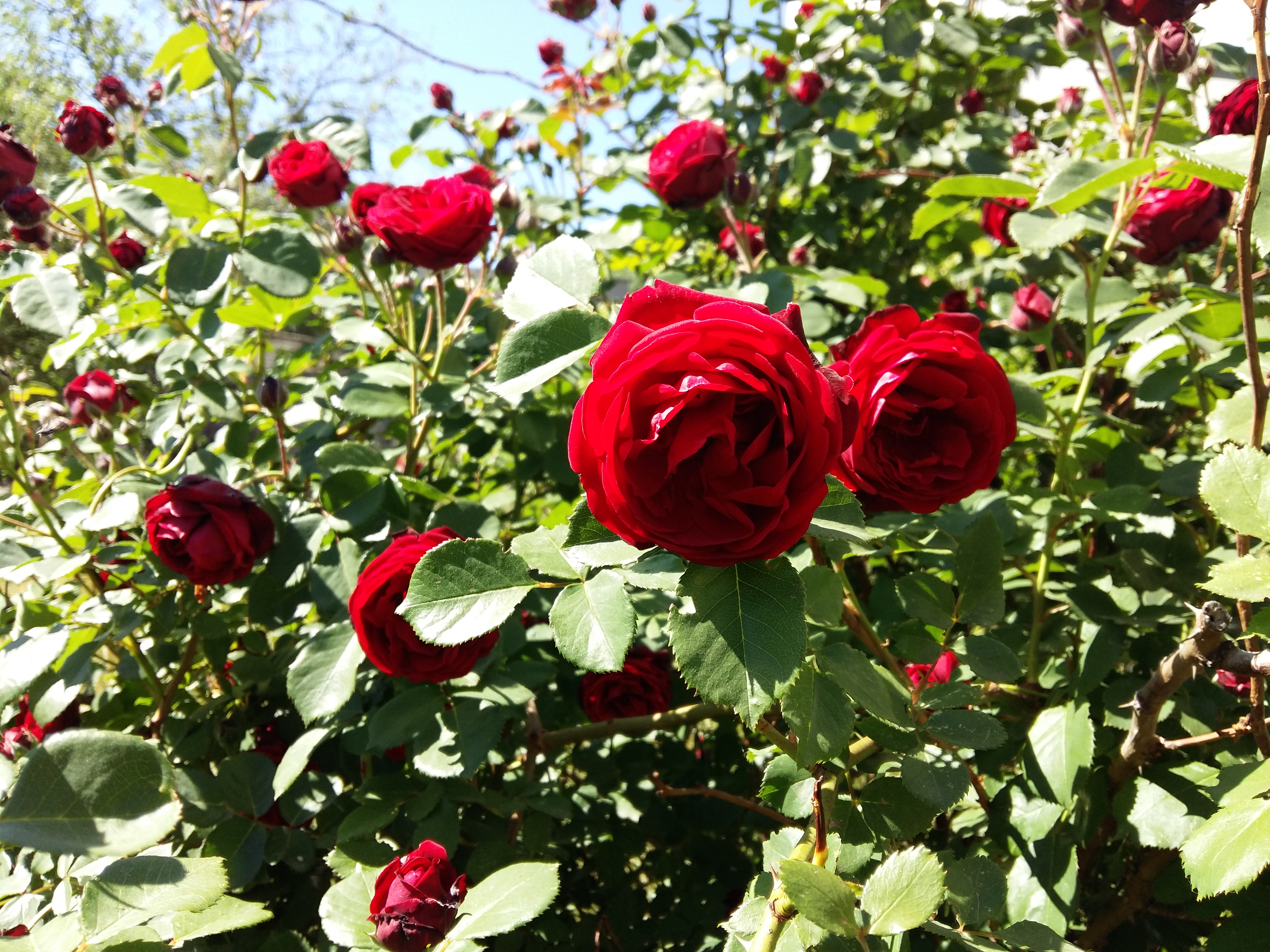 Ресторан БРИГ image 7