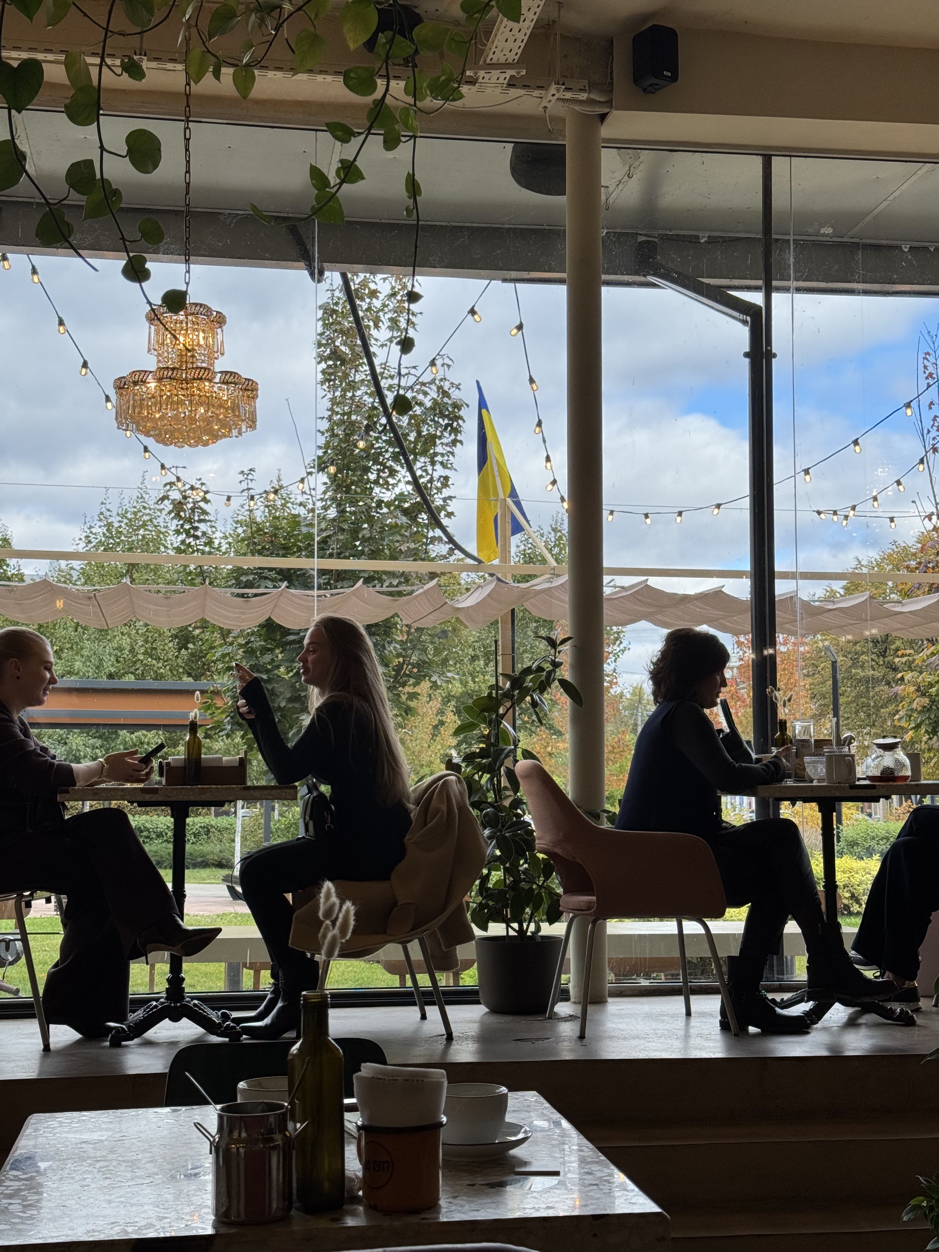 Шо Тут? image 9