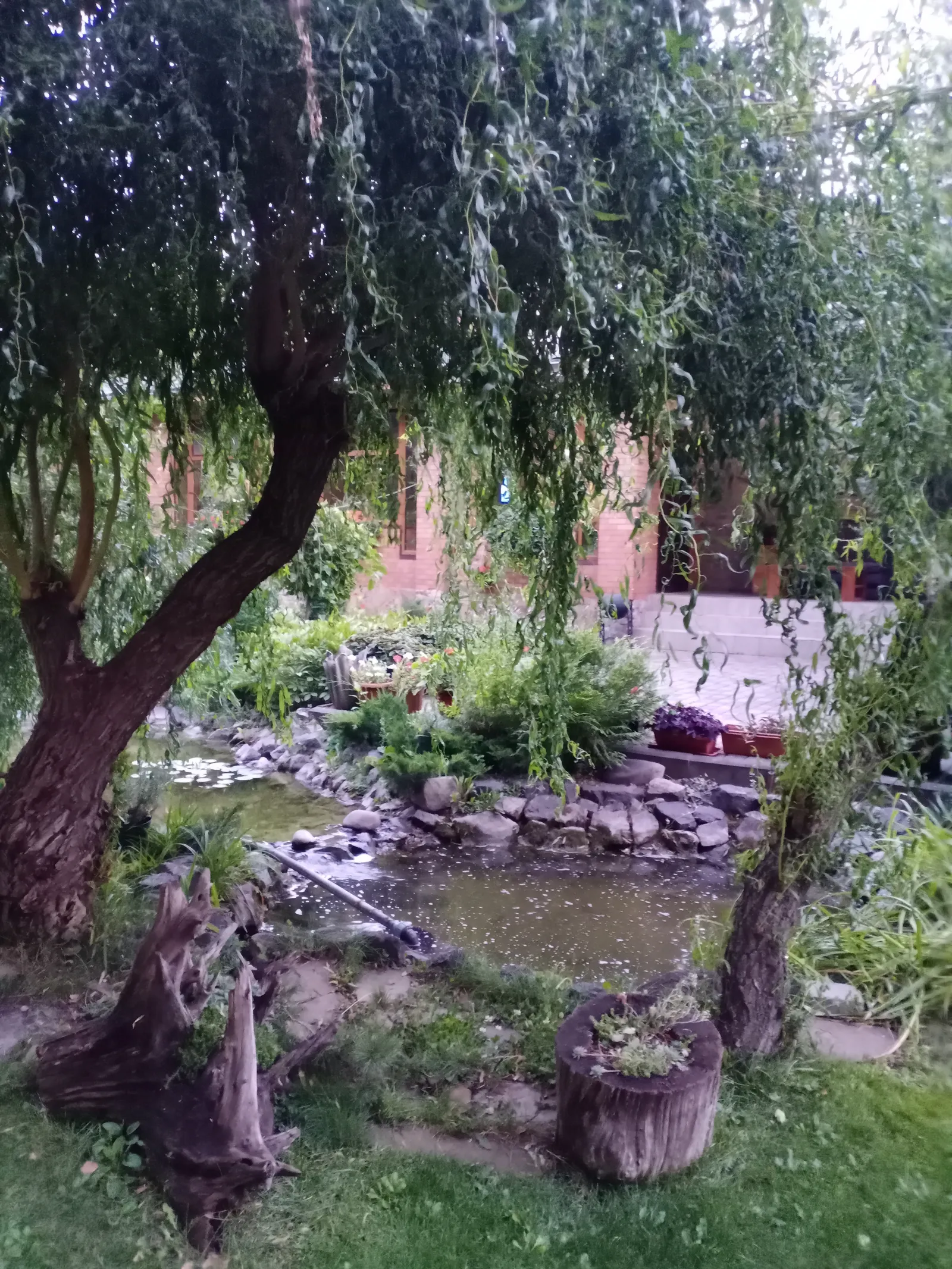 U Didusya image 7