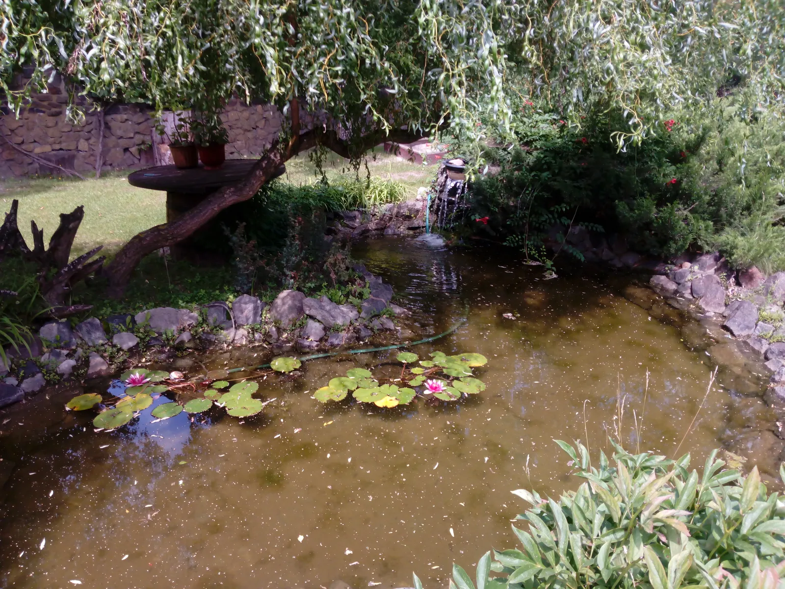 U Didusya image 8