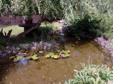 U Didusya image 8