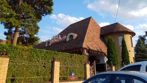 Edem image 7