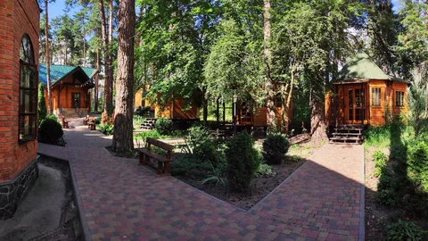 Elki Palki image 3