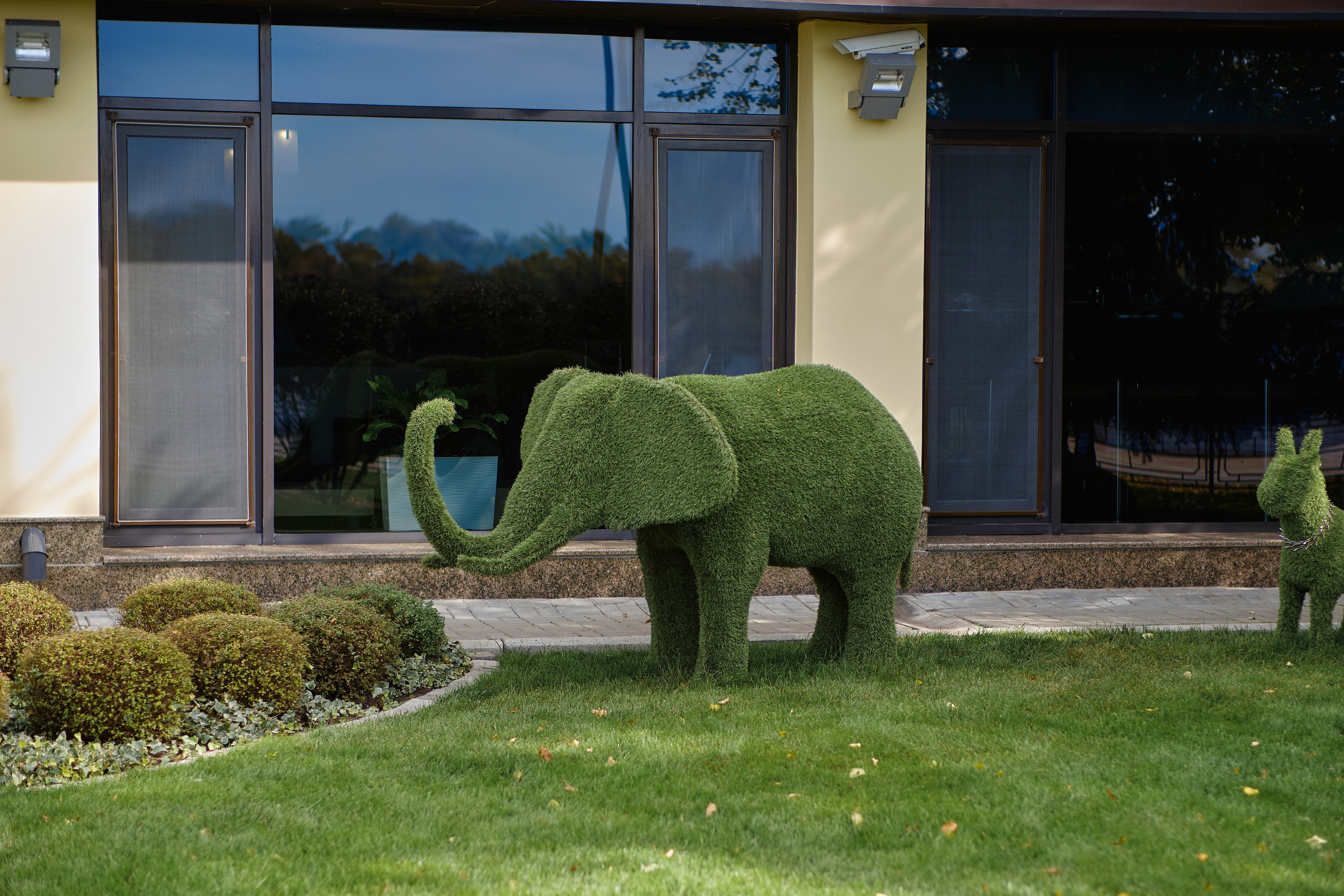 Four Seasons image 8