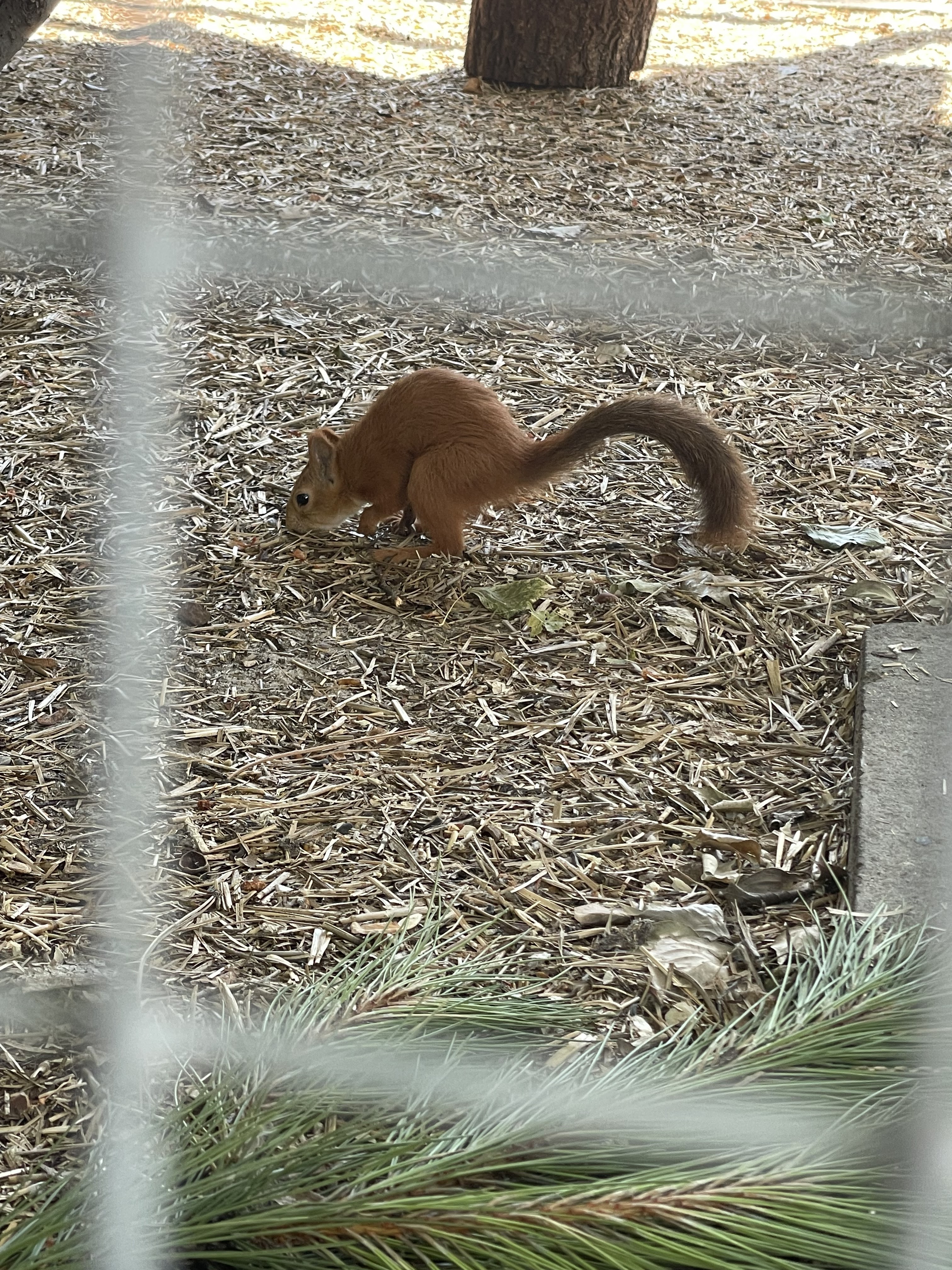 Батьківська Хата image 5