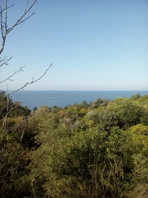 Piramida image 8