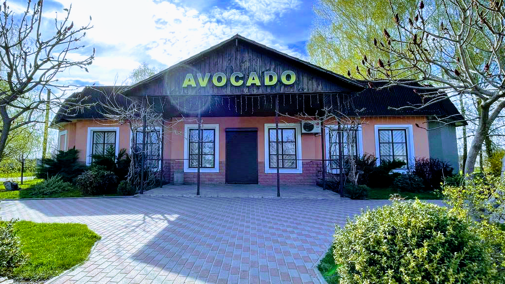 Avocado image 1