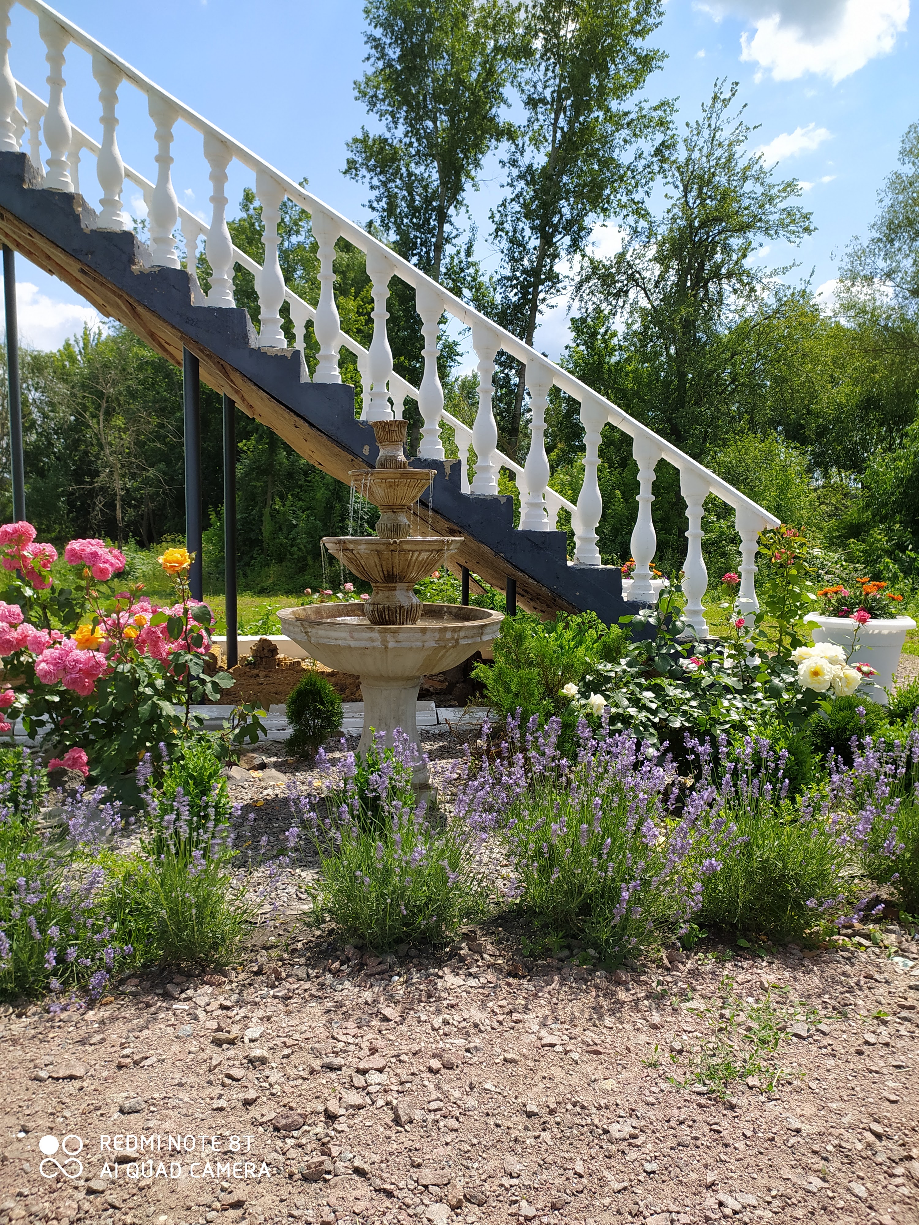 GRAND FAMILY image 9