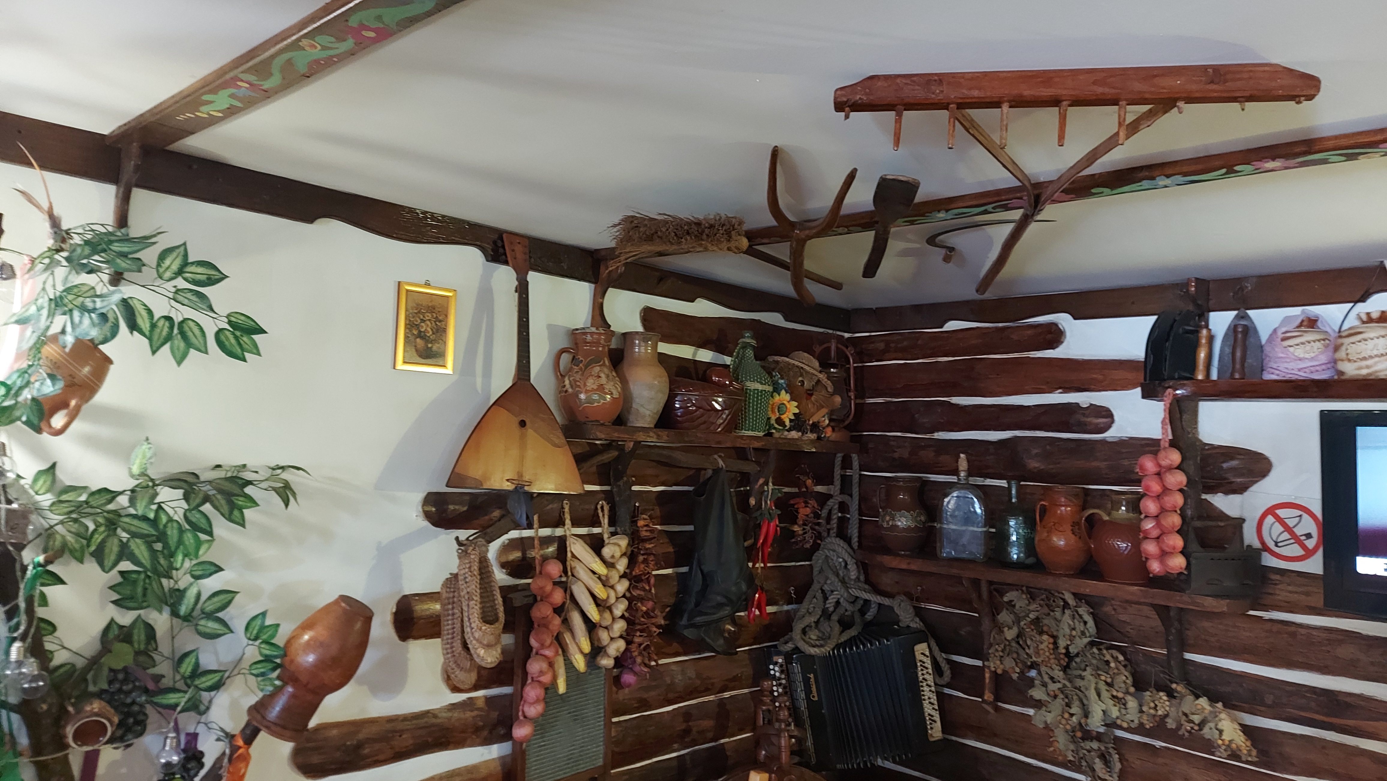 Natalka Poltavka image 8