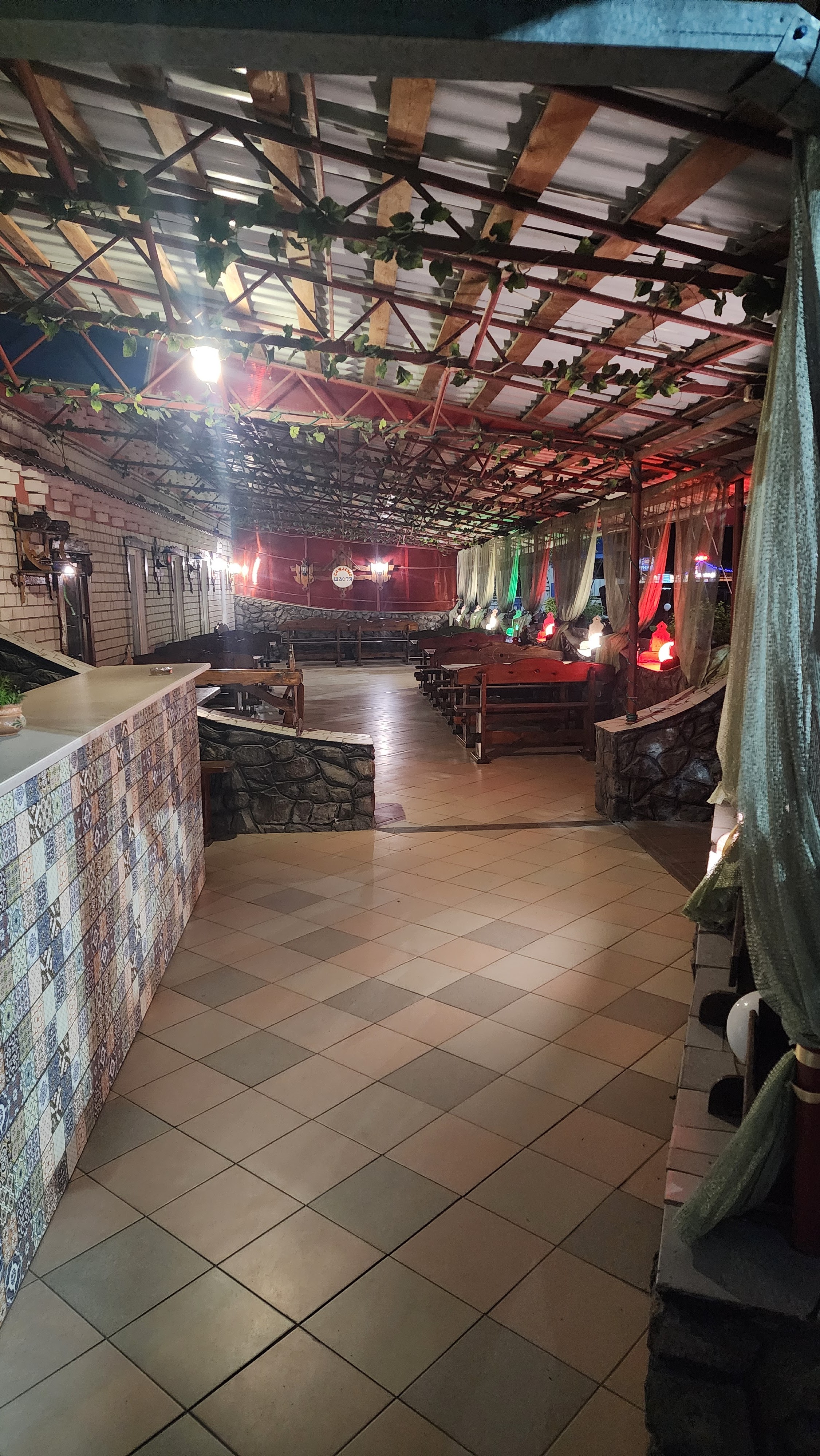 Natalka Poltavka image 9