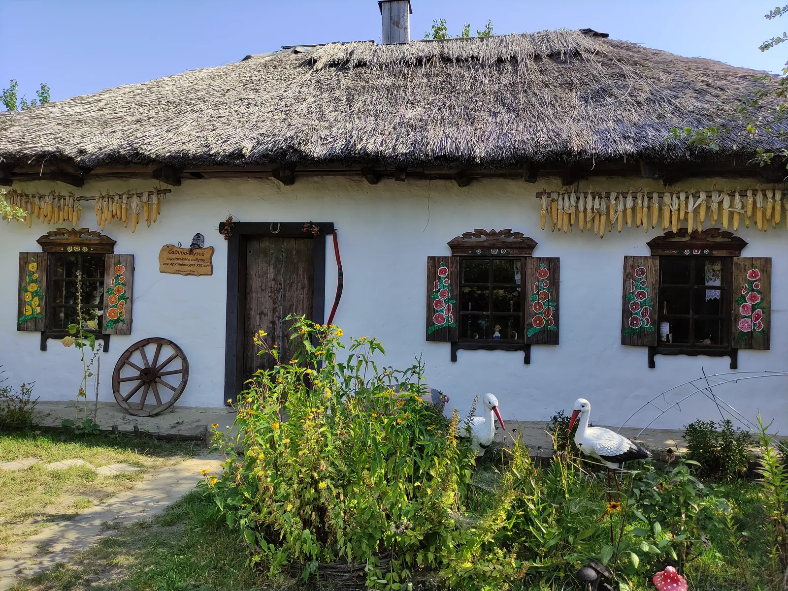 Velyka Krucha image 9