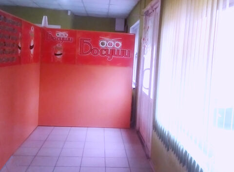 Bosushy image 7