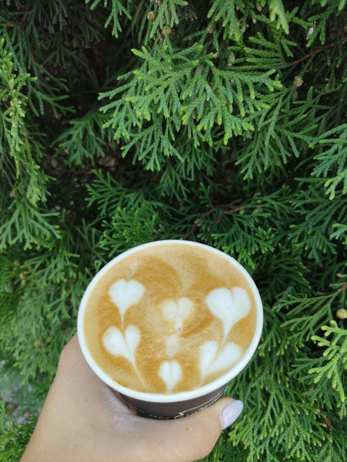 Кафе Sherwood Fast Food image 5