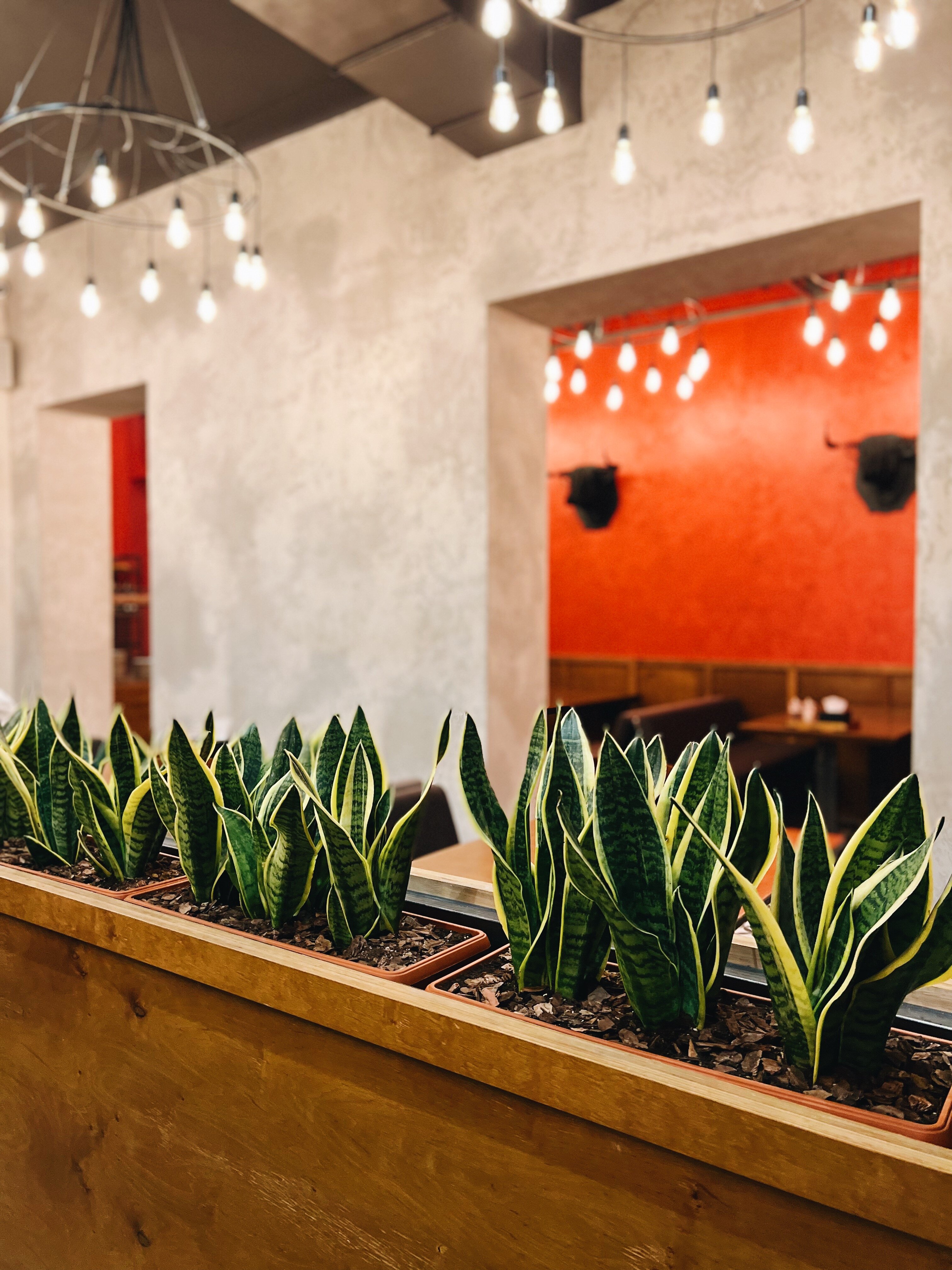 Terrasa - Terrytoryya Myasa image 3