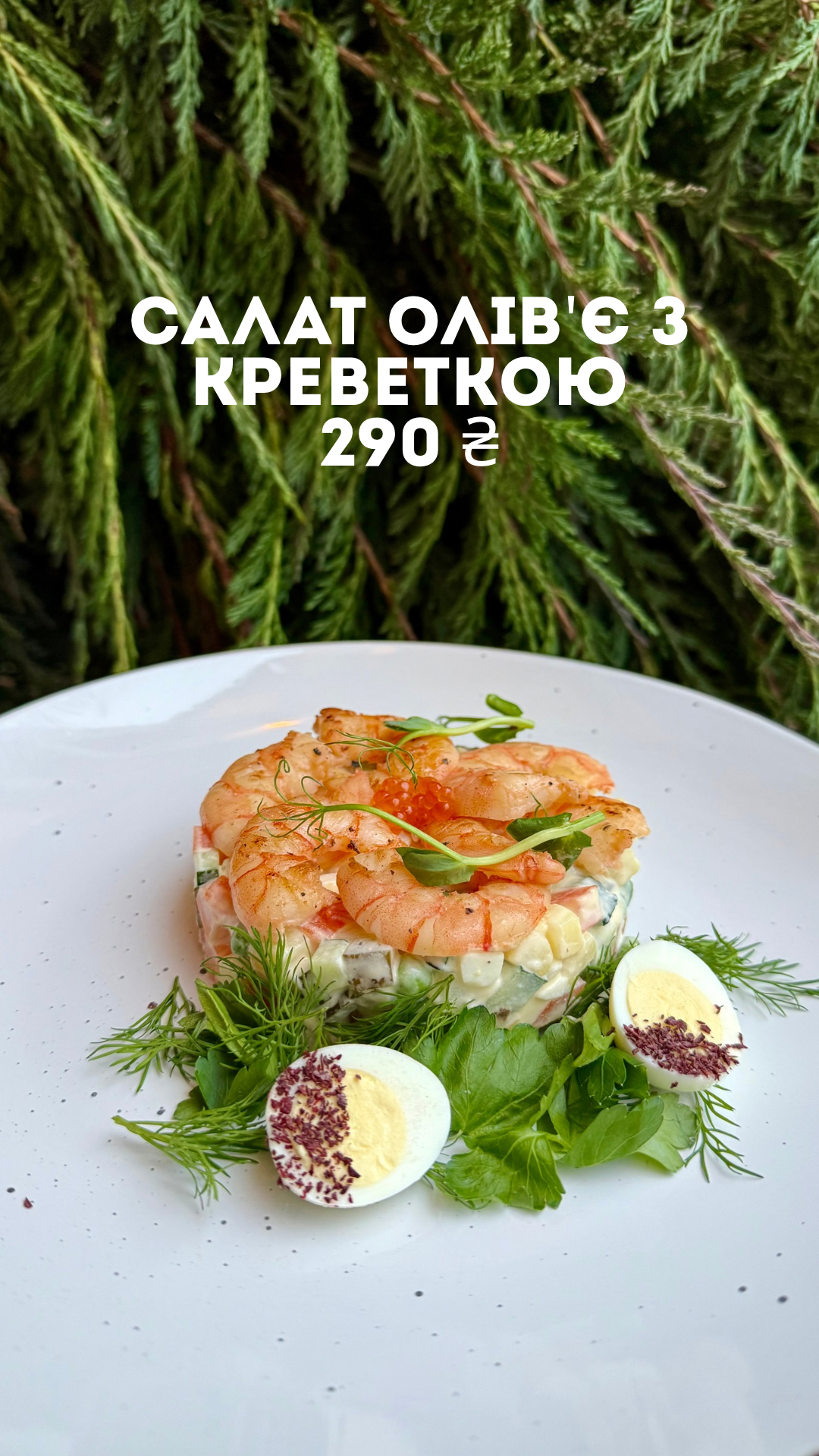 Баркас image 3