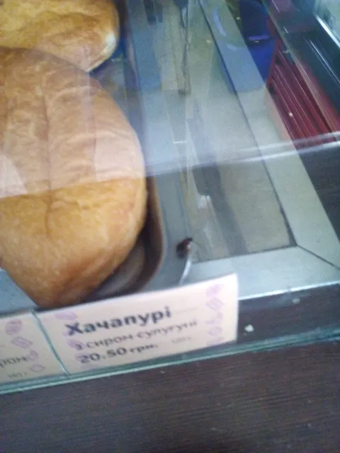 Kulynychy image 5