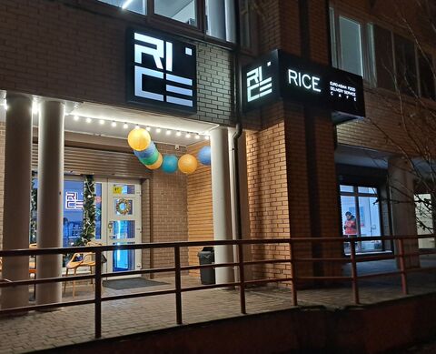 Rice image 1