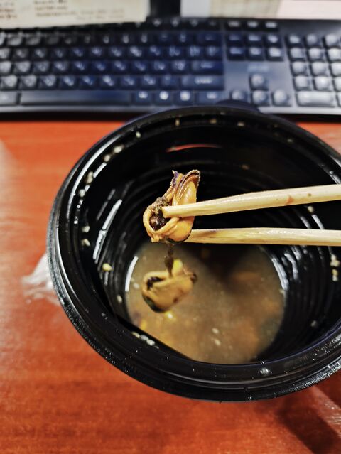 Rice image 3