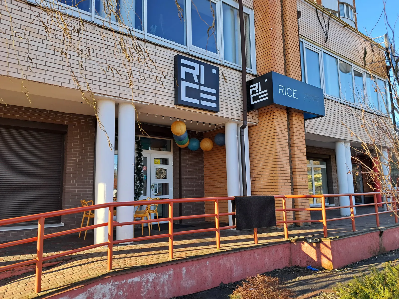 Rice image 7
