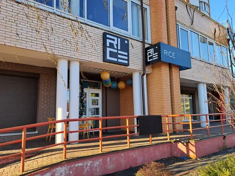 Rice image 7