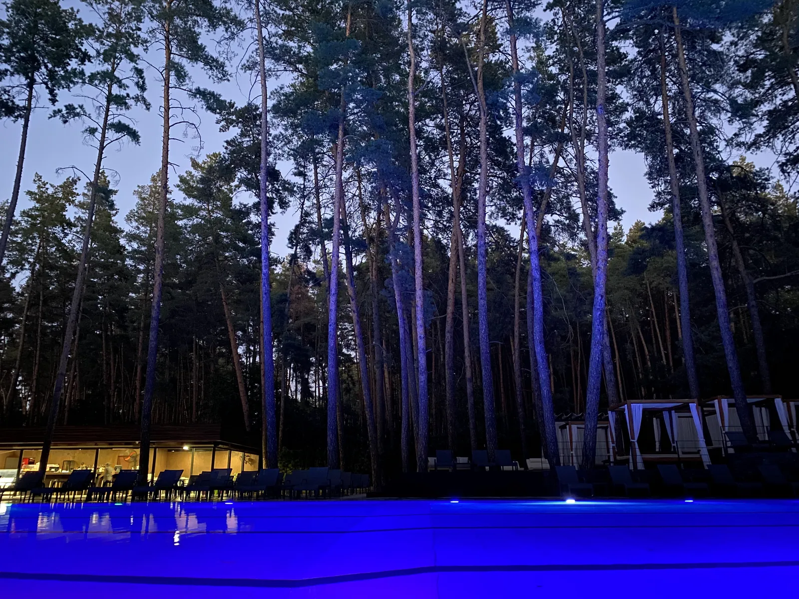 Food&Forest image 4