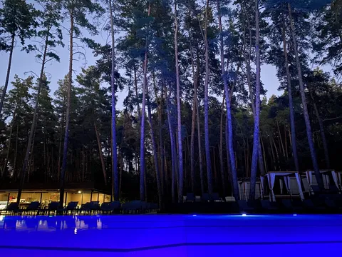 Food&Forest image 4