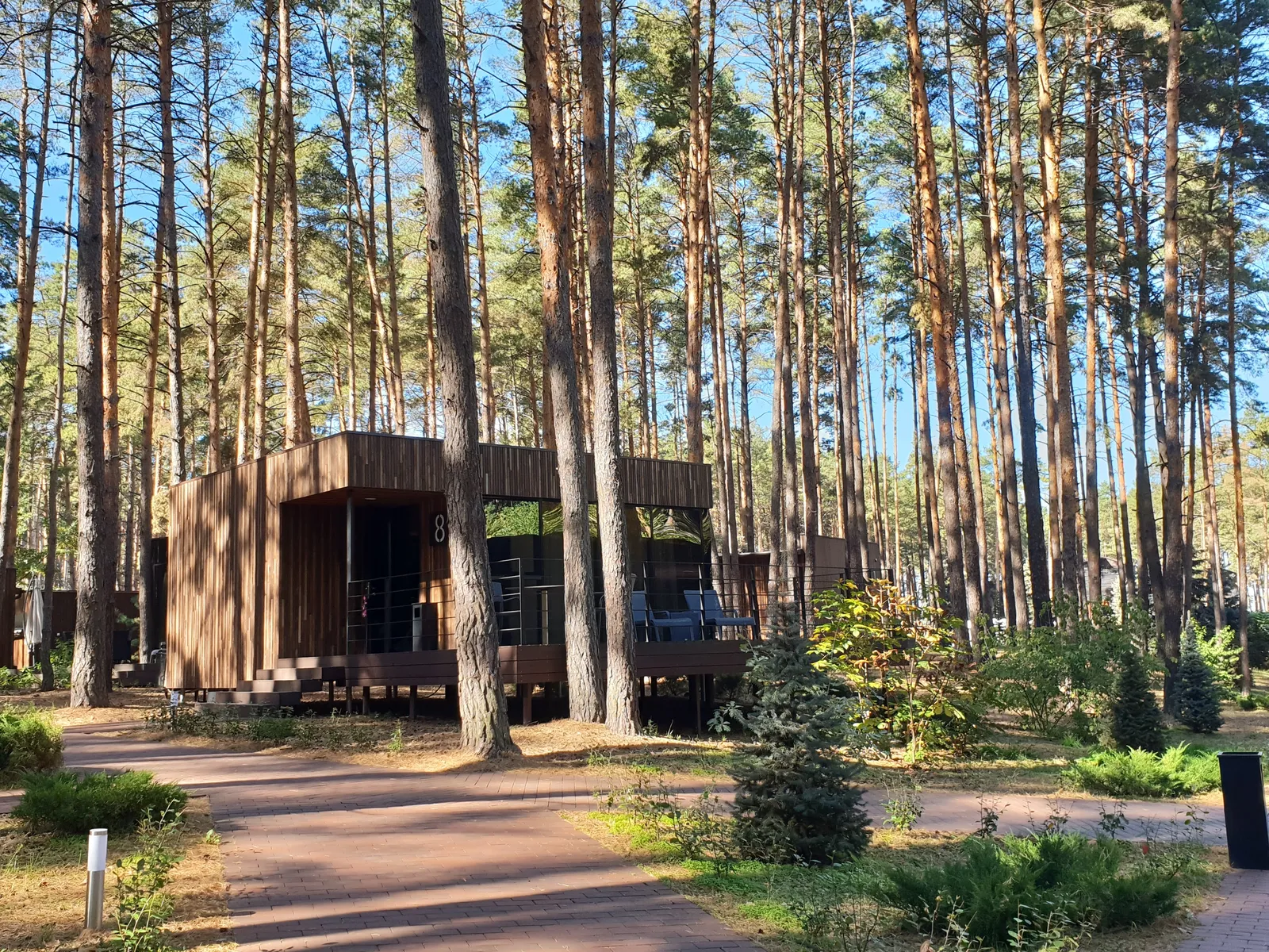 Food&Forest image 5