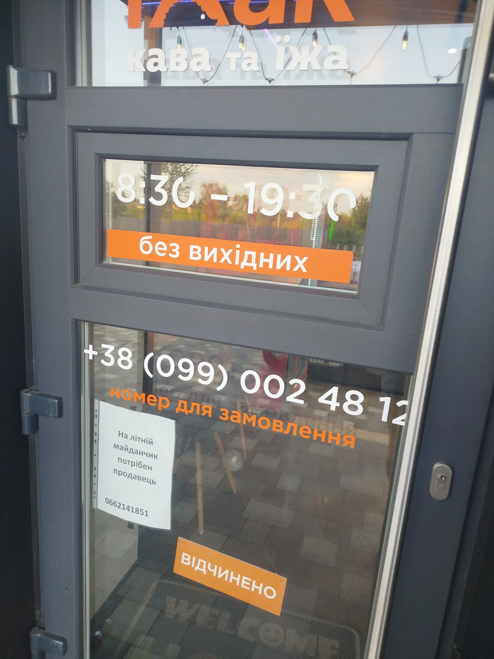 Їжак image 5