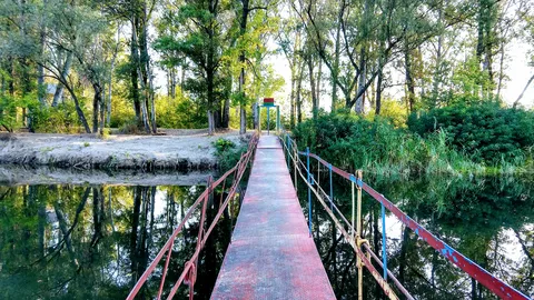 Zolotyy Bereh image 6
