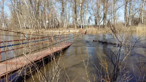 Zolotyy Bereh image 7