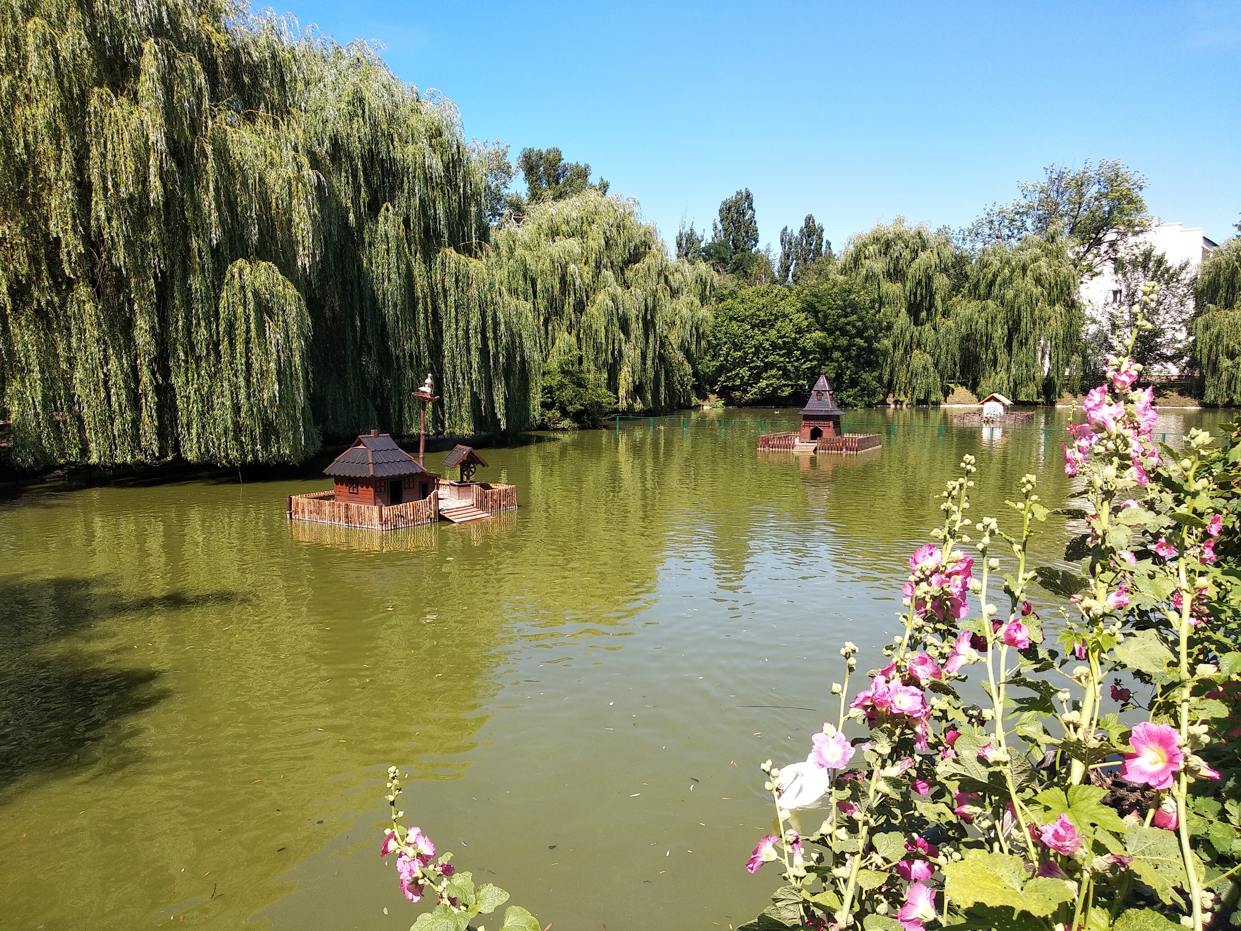 Grand Pizza Myrgorod image 4