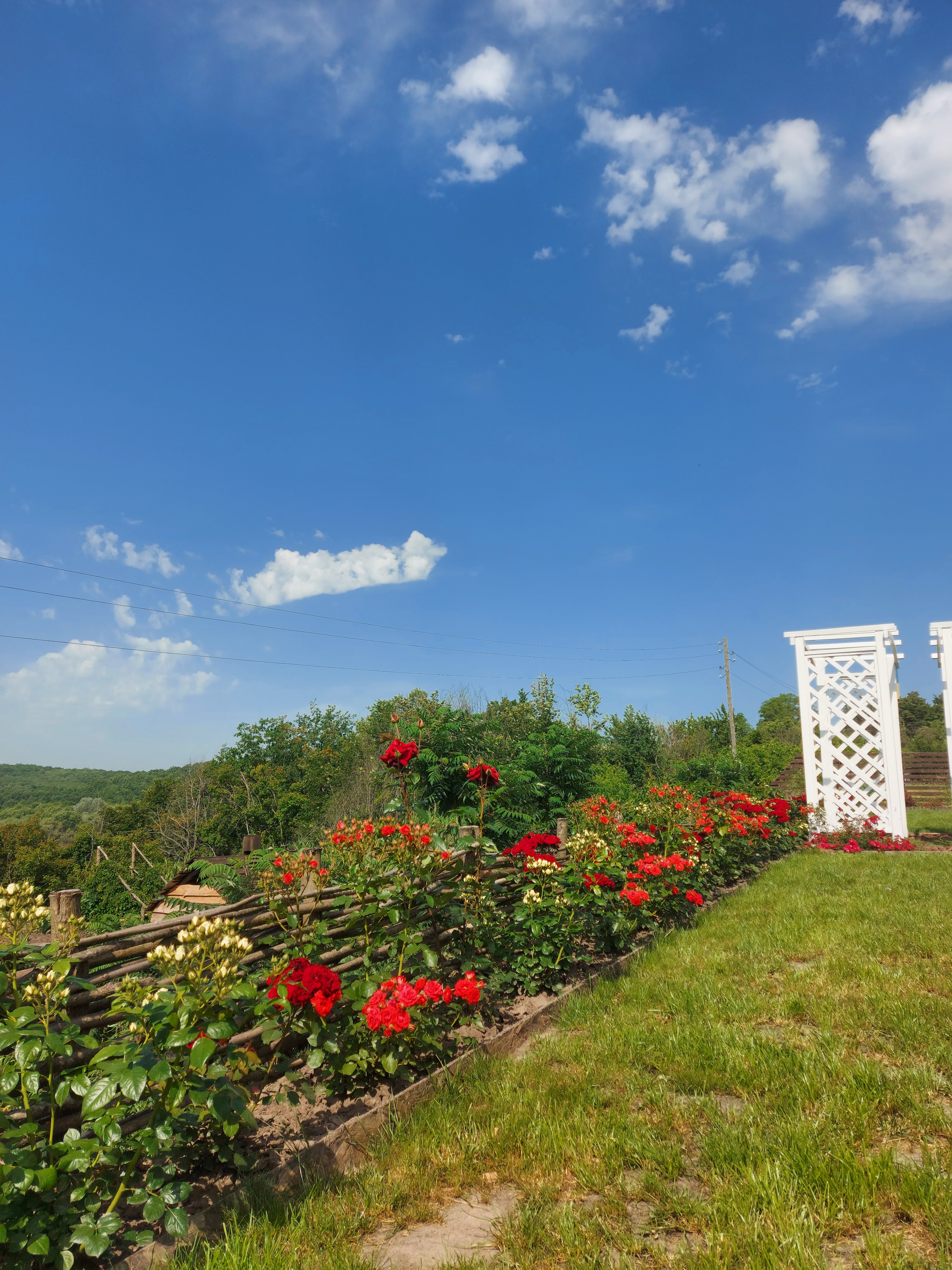 Ресторан Provence image 3