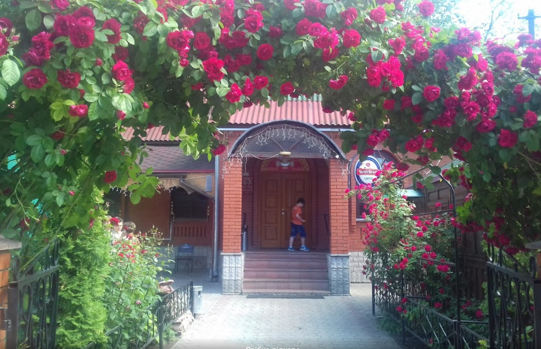 Silver Horseshoe image 3