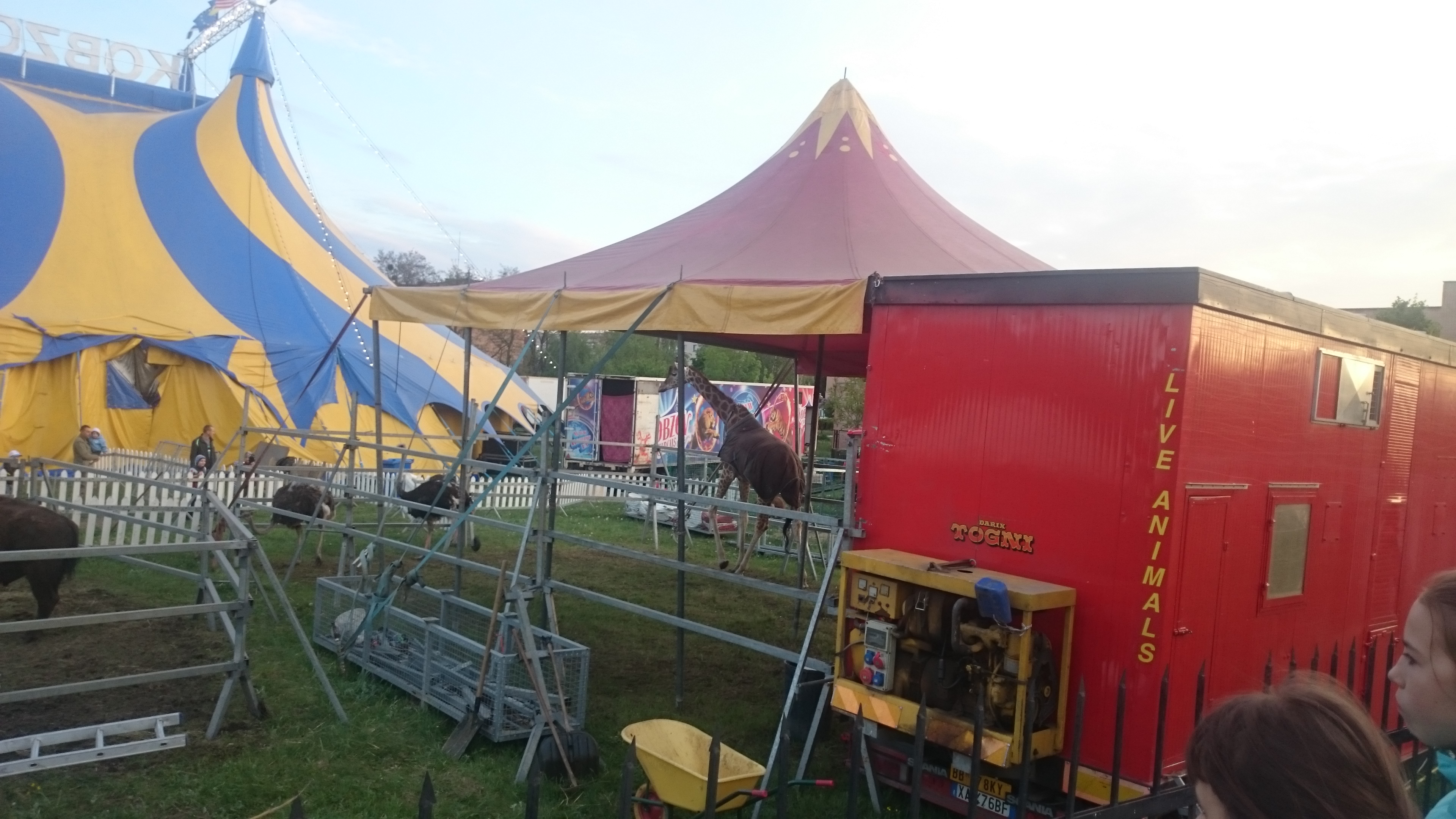 Restoran Bilyy Lev image 5