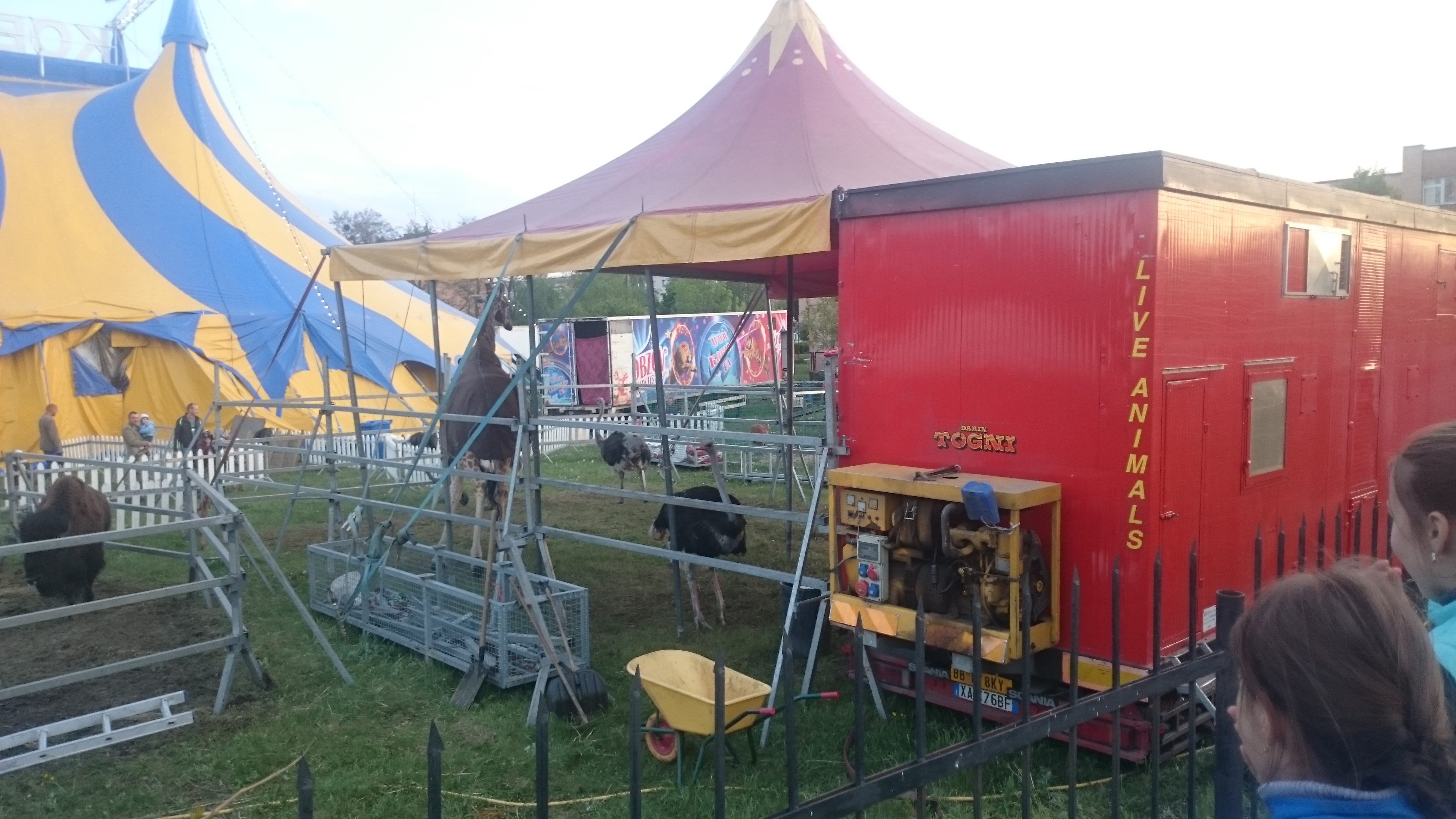 Restoran Bilyy Lev image 9