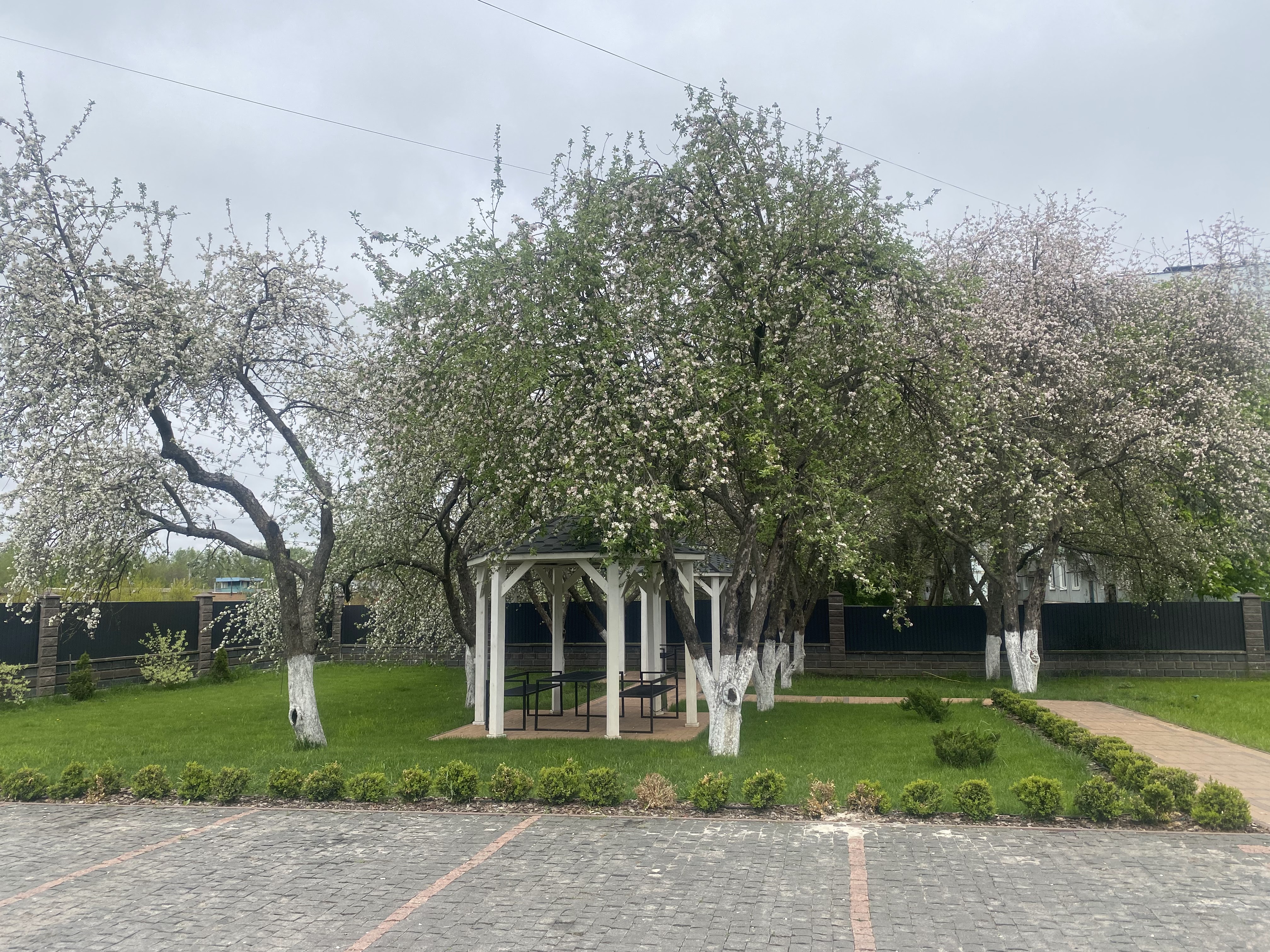 Rodynne Drevo image 4