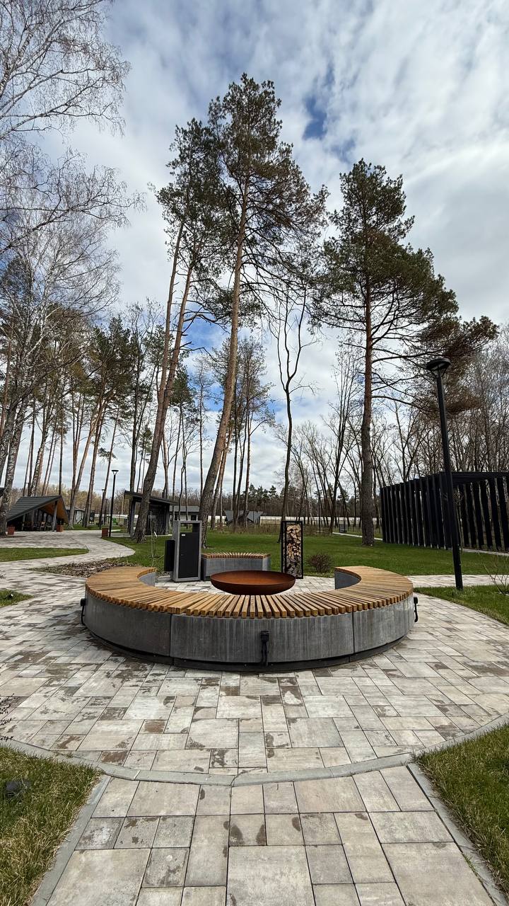 Forester image 7