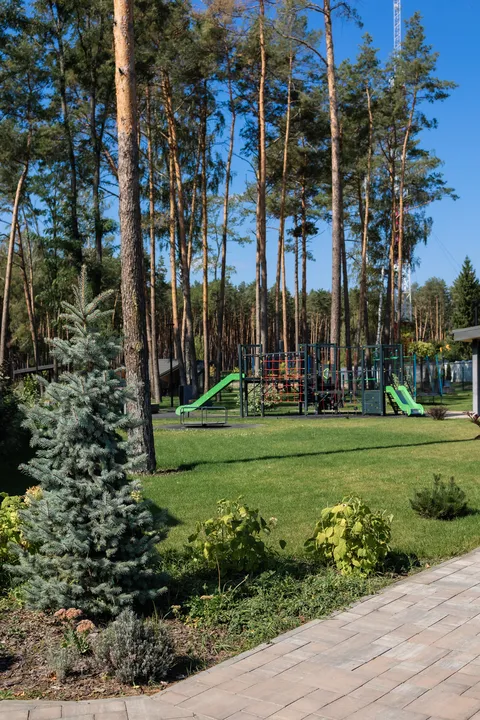 Forester image 8